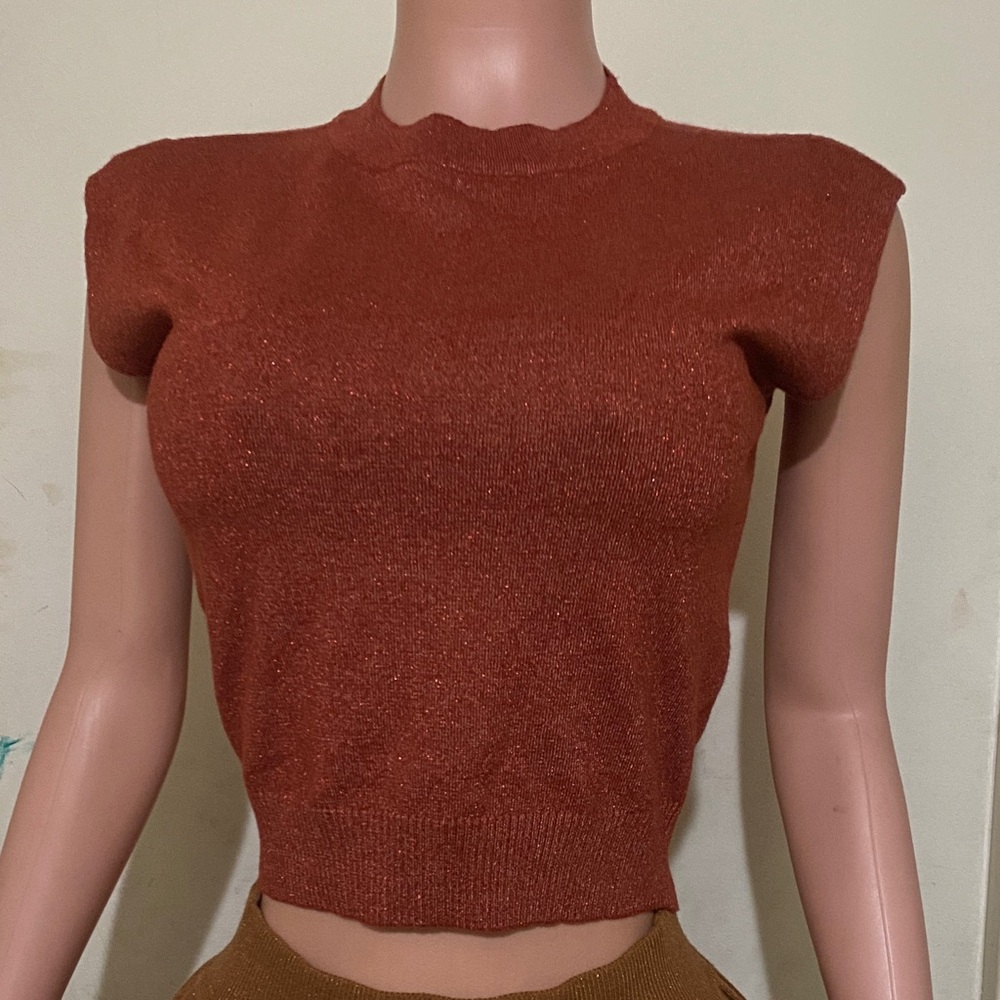 Chic Sleeveless Rust Crop Top